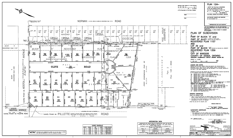 land surveyor business plan